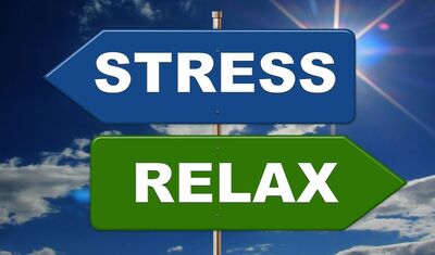 stress-391654_1920-440-259
